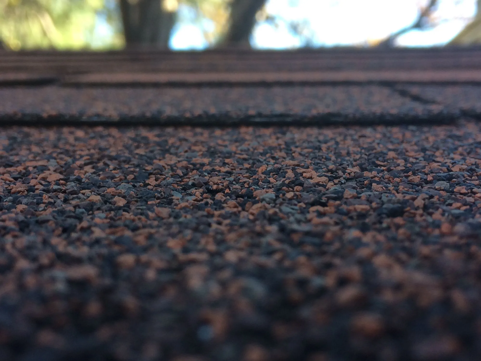 A close-up of the granule surface of an asphalt shingle course