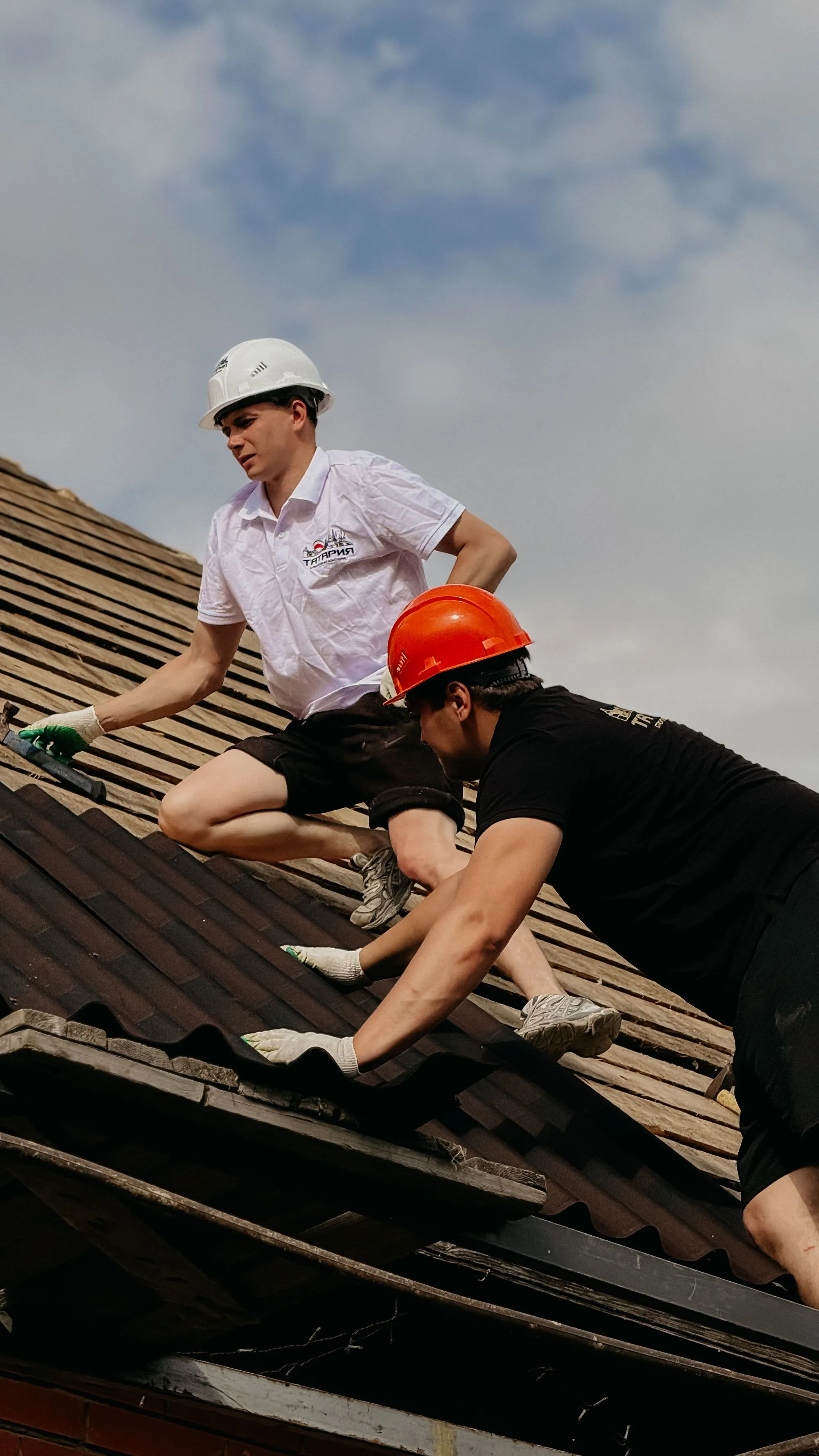 Two roofers kneeling on a slope fastening a course of asphalt shingles